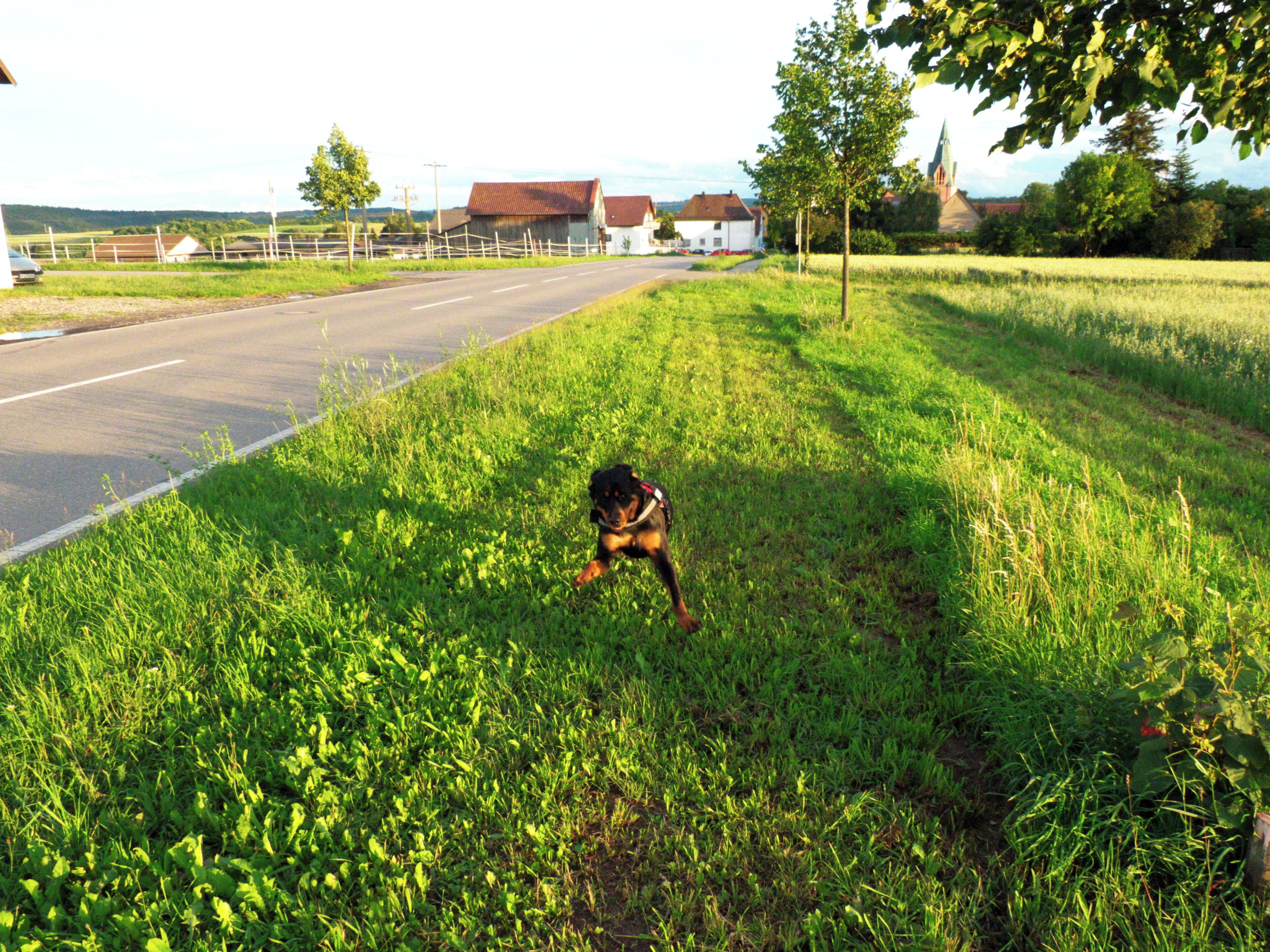 She Is On Mission Again