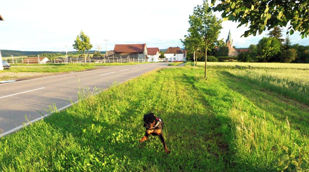 She Is On Mission Again