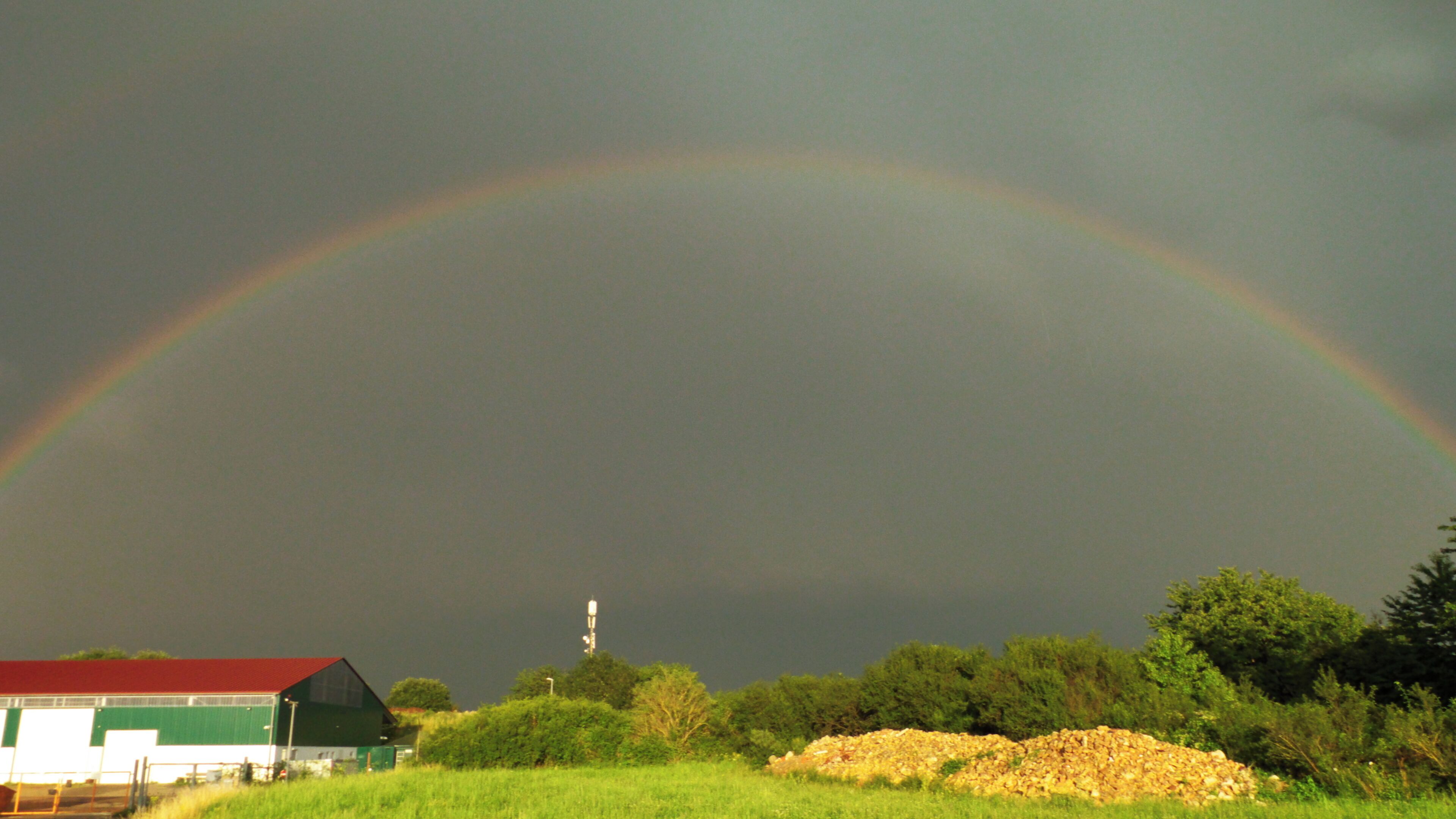 Too Close To Everything To Get On It