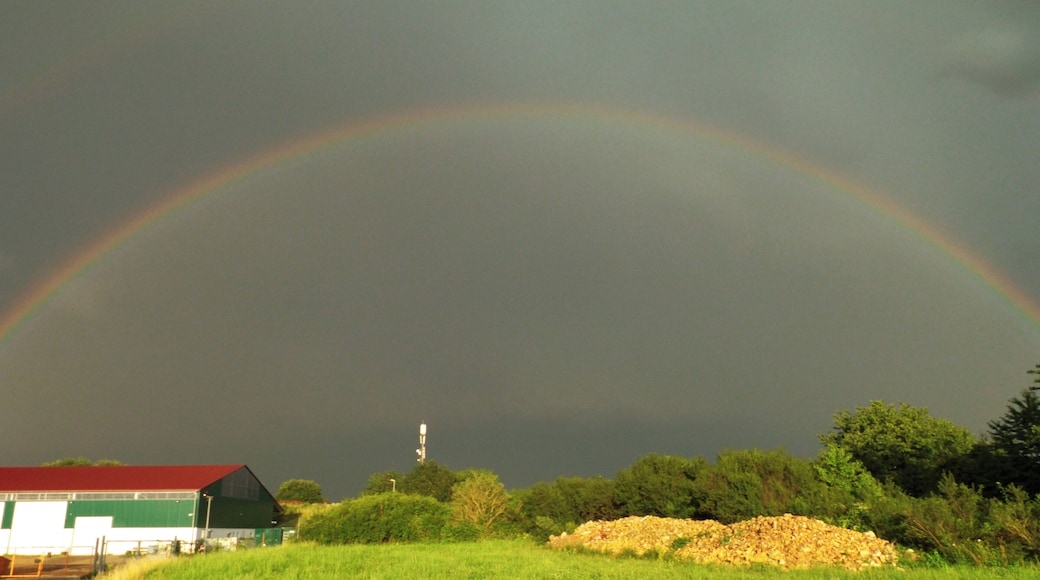 Too Close To Everything To Get On It