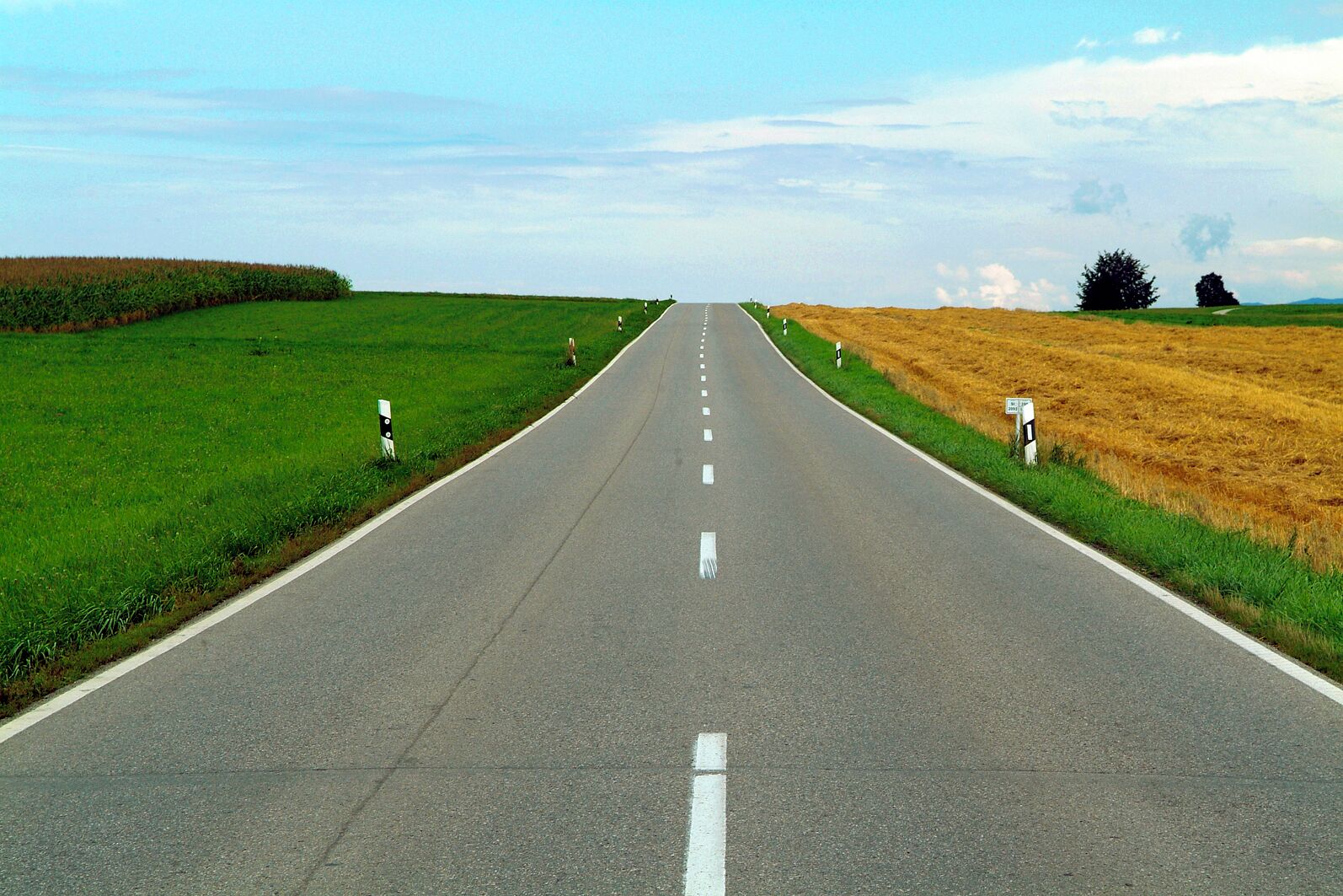 I COLORI DELLA NATURA