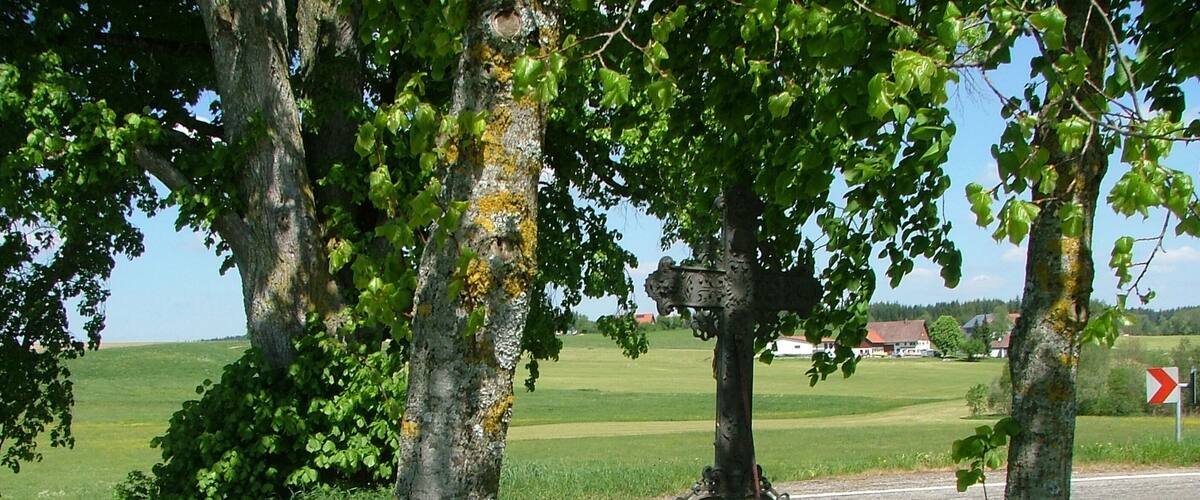 A rural road with a metal marker post and trees.