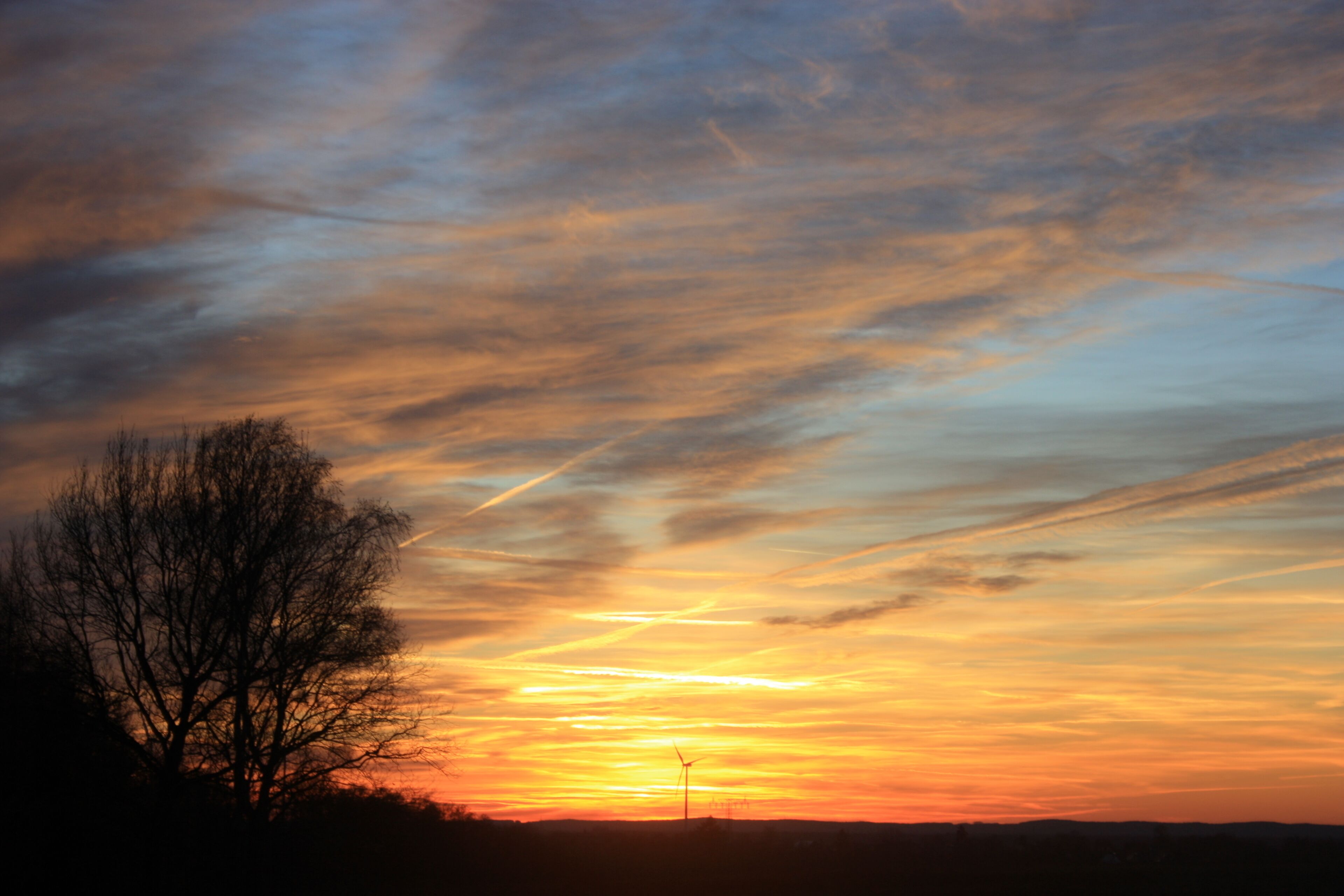 A sunset with a silhouette of a tree and a wind turbine against a colorful sky.
