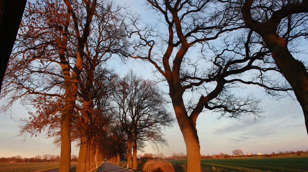 Straße zwischen Perdersdorf und Sieversdorf