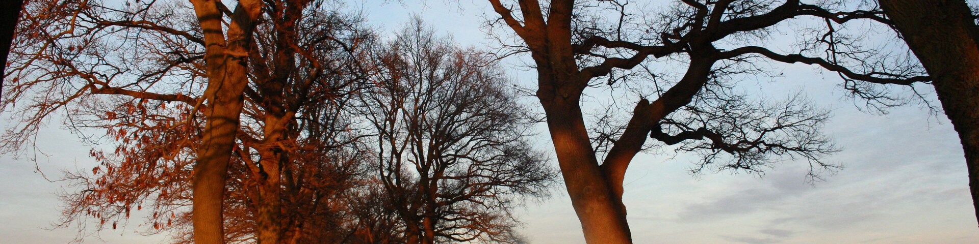 Straße zwischen Perdersdorf und Sieversdorf