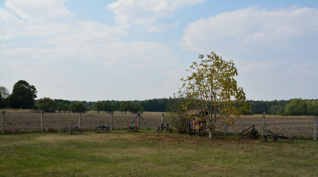 The making of this document was supported by the Community-Budget of Wikimedia Germany. To see other files made with the support of Wikimedia Germany, please see the category Supported by Wikimedia Deutschland.