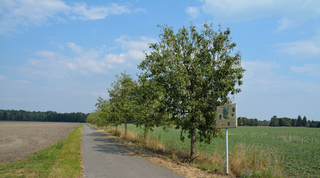 The making of this document was supported by the Community-Budget of Wikimedia Germany. To see other files made with the support of Wikimedia Germany, please see the category Supported by Wikimedia Deutschland.