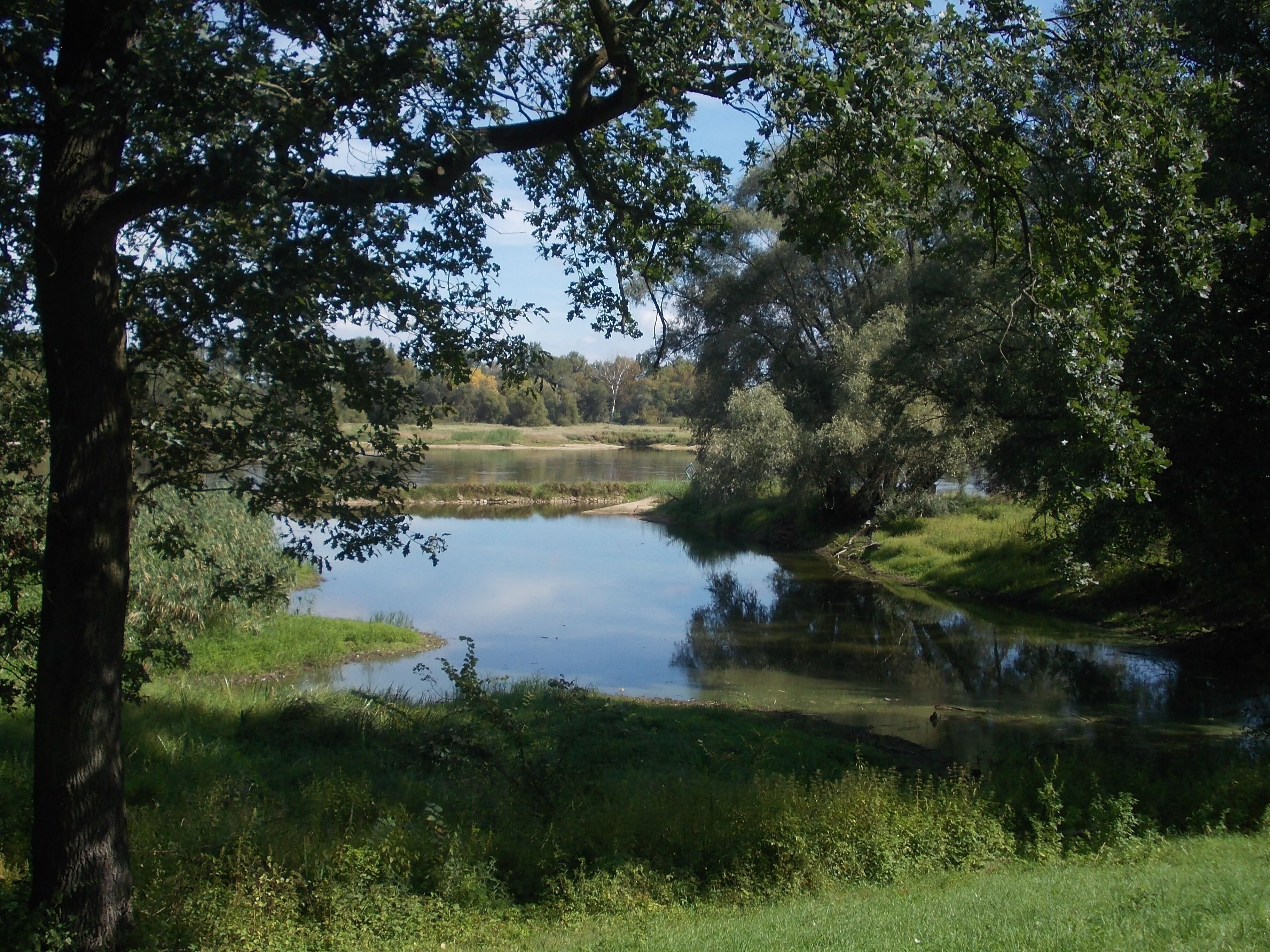 Oder-Neiße-Rad (Skater)-Weg -Zwischen Frankfurt(Oder) und Eisenhüttenstadt -Abschnitt Brieskow-Finkenheerd-Aurith (10 km)