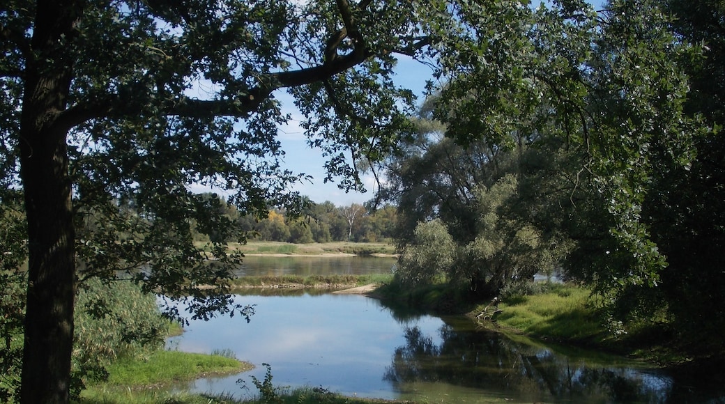 Oder-NeiĂe-Rad (Skater)-Weg -Zwischen Frankfurt(Oder) und EisenhĂŒttenstadt -Abschnitt Brieskow-Finkenheerd-Aurith (10 km)