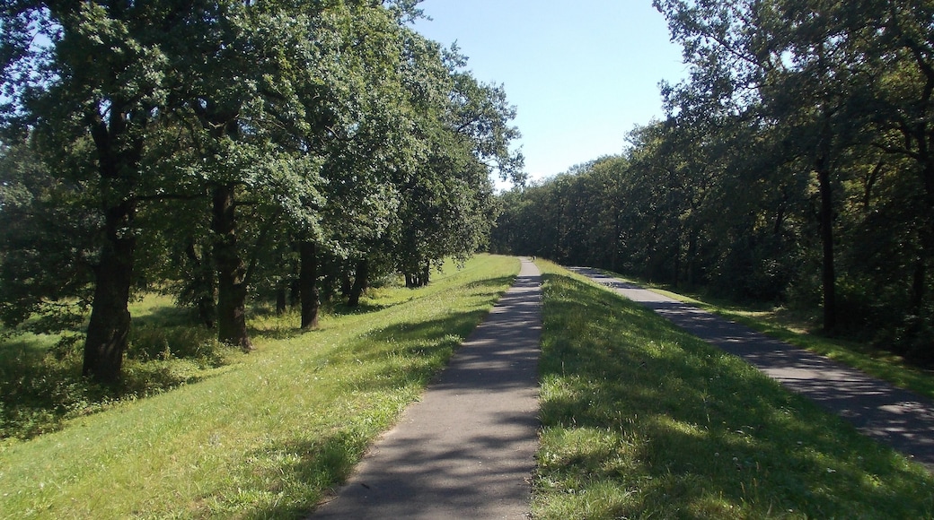 Oder-NeiĂe-Rad (Skater)-Weg -Zwischen Frankfurt(Oder) und EisenhĂŒttenstadt -Abschnitt Brieskow-Finkenheerd-Aurith (10 km)
