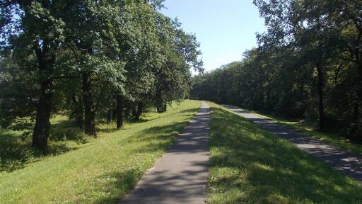 Oder-Neiße-Rad (Skater)-Weg -Zwischen Frankfurt(Oder) und Eisenhüttenstadt -Abschnitt Brieskow-Finkenheerd-Aurith (10 km)