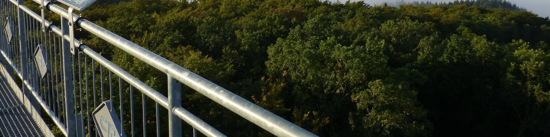 Jubiläums-Aussichtsturm; Blick von der Plattform nach Süden
