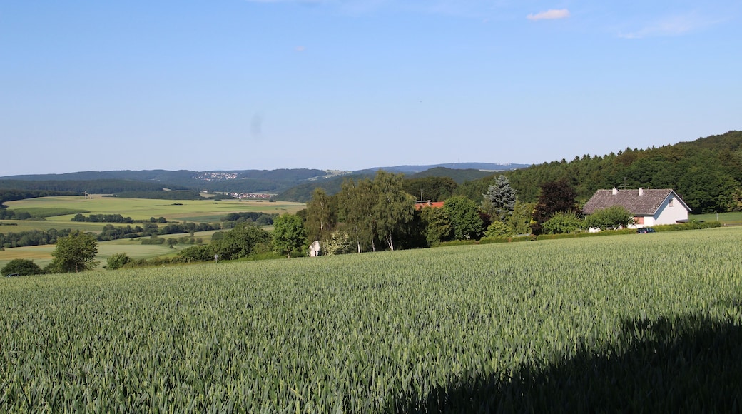 Das Gehöft Wüsteburg an der Bundesstraße 255.