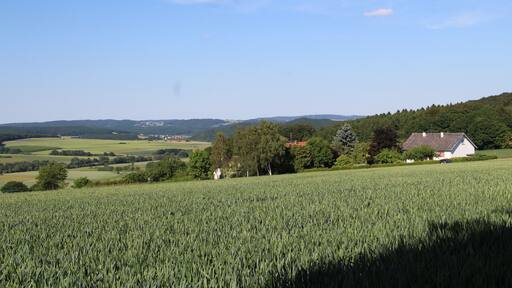 Das Gehöft Wüsteburg an der Bundesstraße 255.