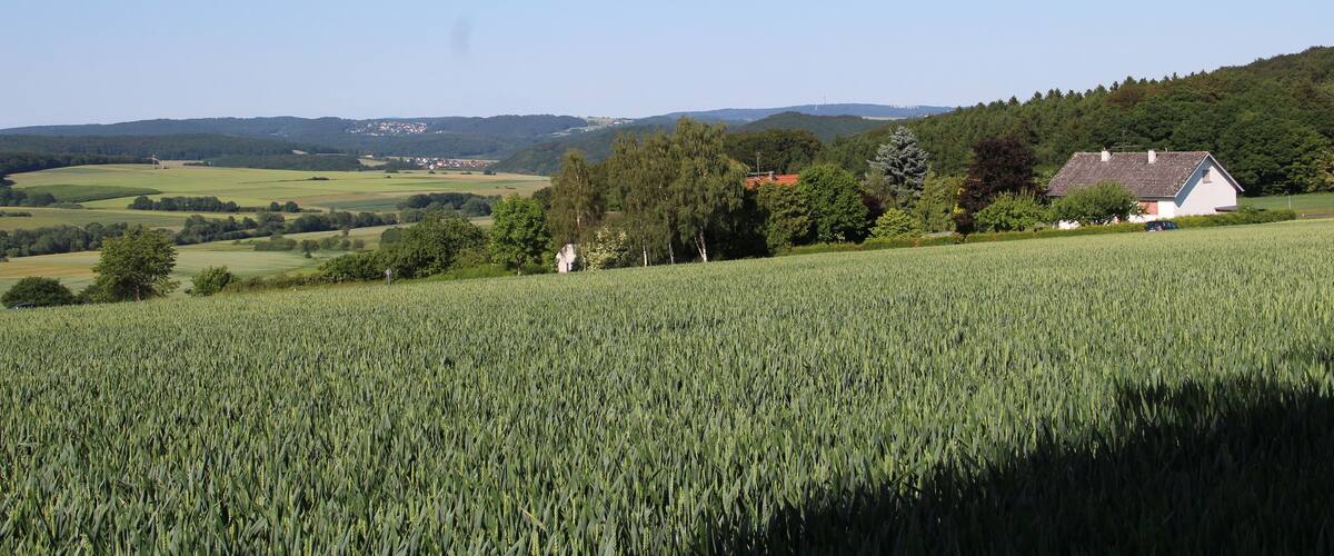 A rural landscape with a field of crops, a house, and rolling hills in the background.