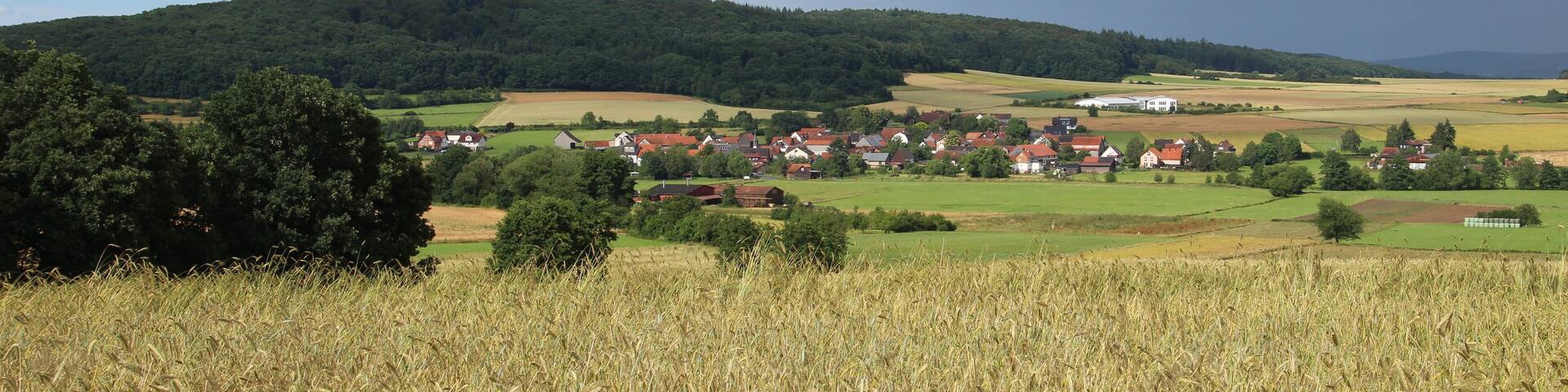 A rural landscape with a wheat field, rolling hills, and a small village with red-roofed houses.