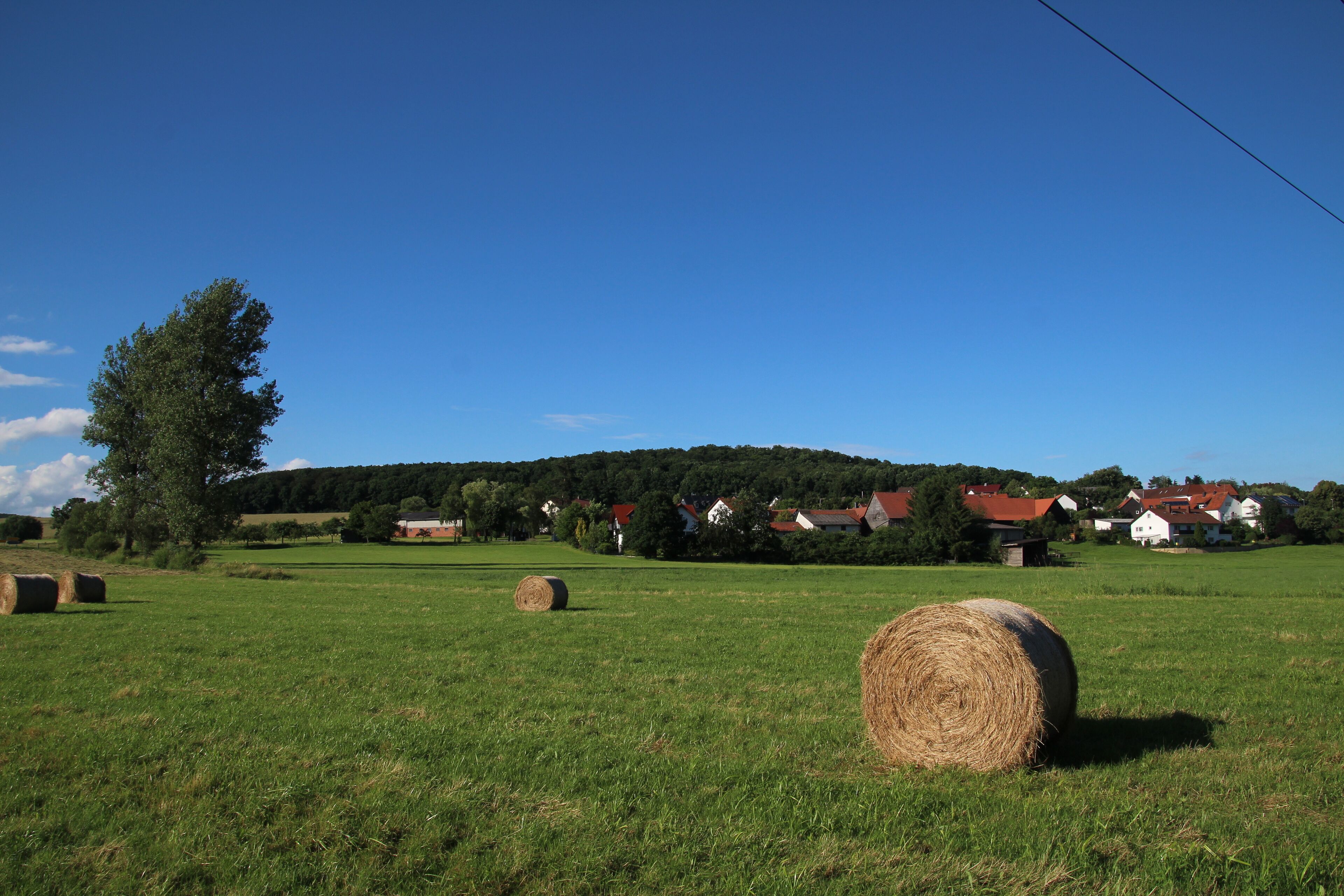 A rural landscape with hay bales, a large tree, and houses in the background.