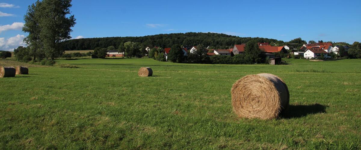 A rural landscape with hay bales, a large tree, and houses in the background.