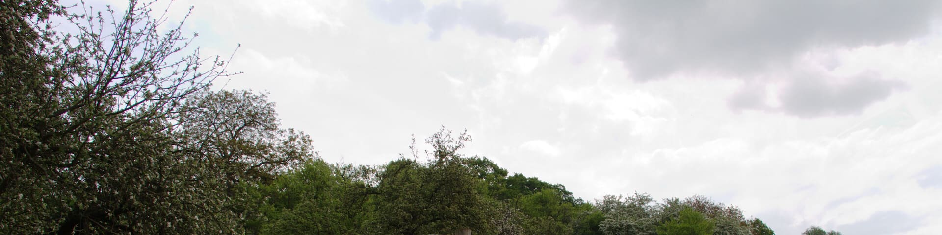 This is a picture of the protected area listed at WDPA under the ID