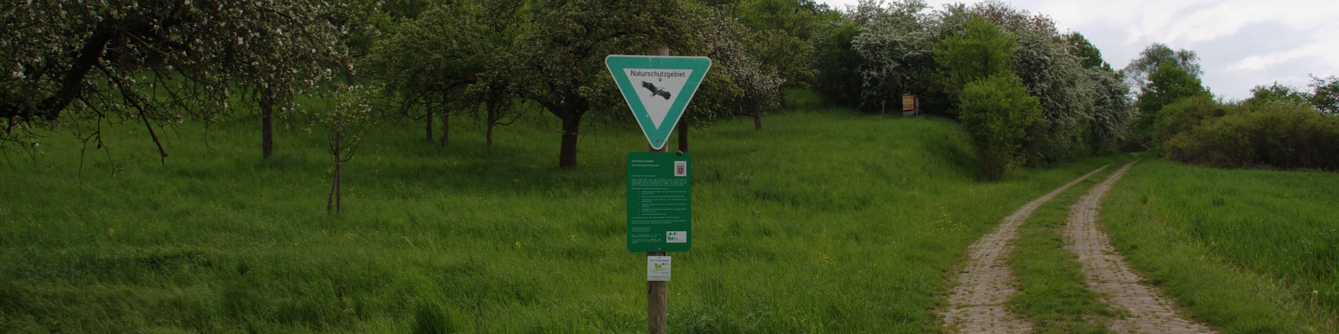 This is a picture of the protected area listed at WDPA under the ID