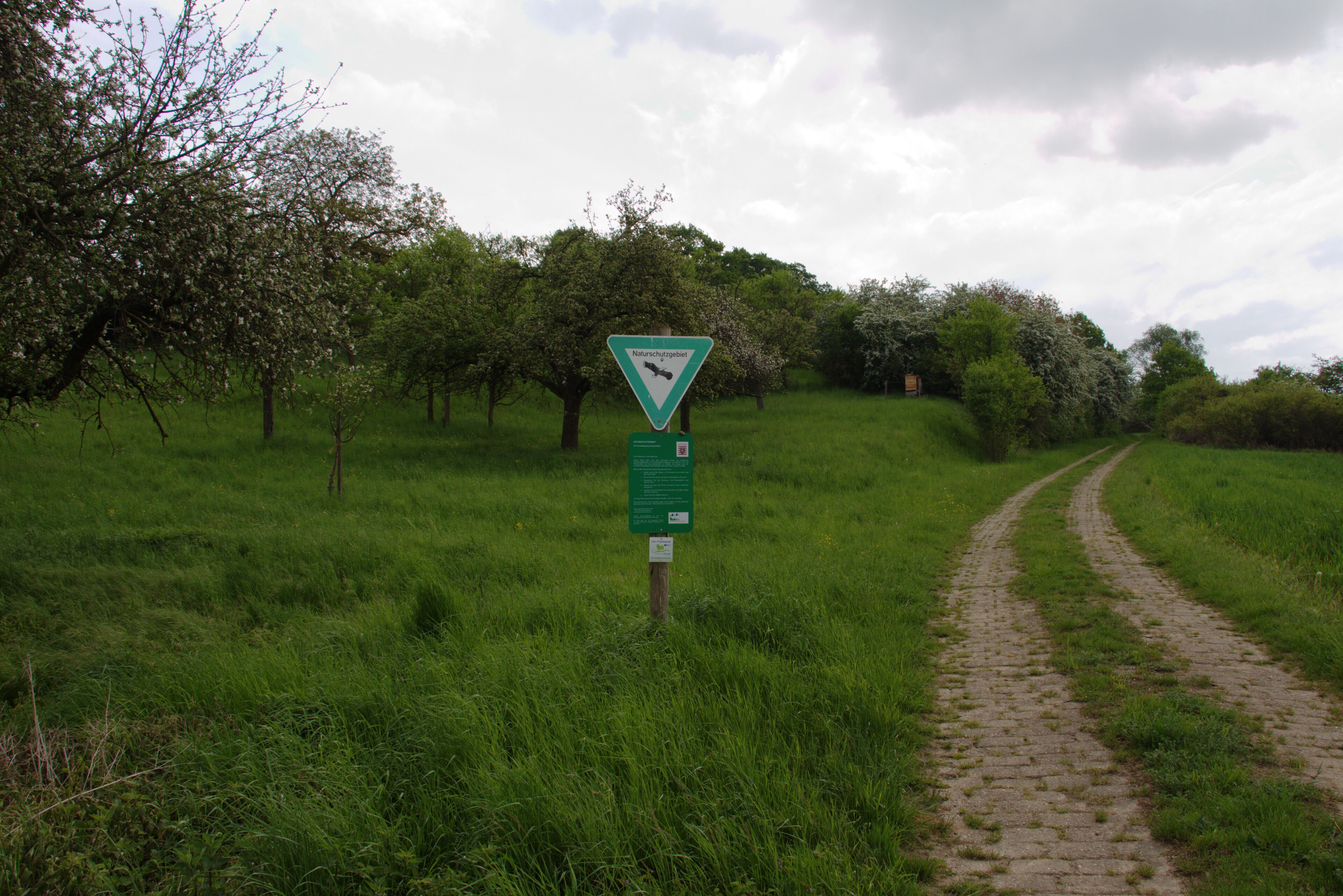 A rural path with a directional sign and a green signpost in a grassy area with trees.