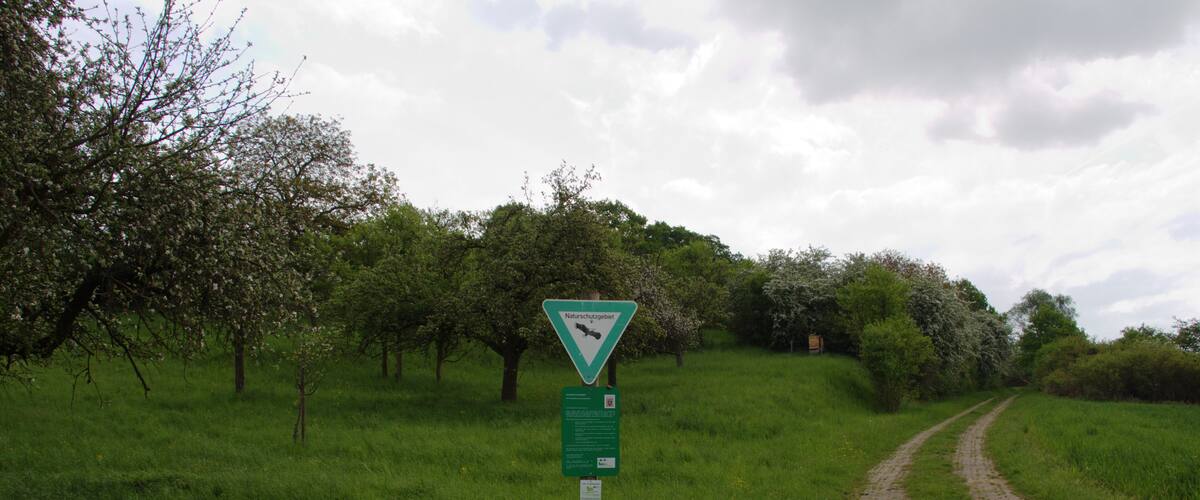 A rural path with a directional sign and a green signpost in a grassy area with trees.