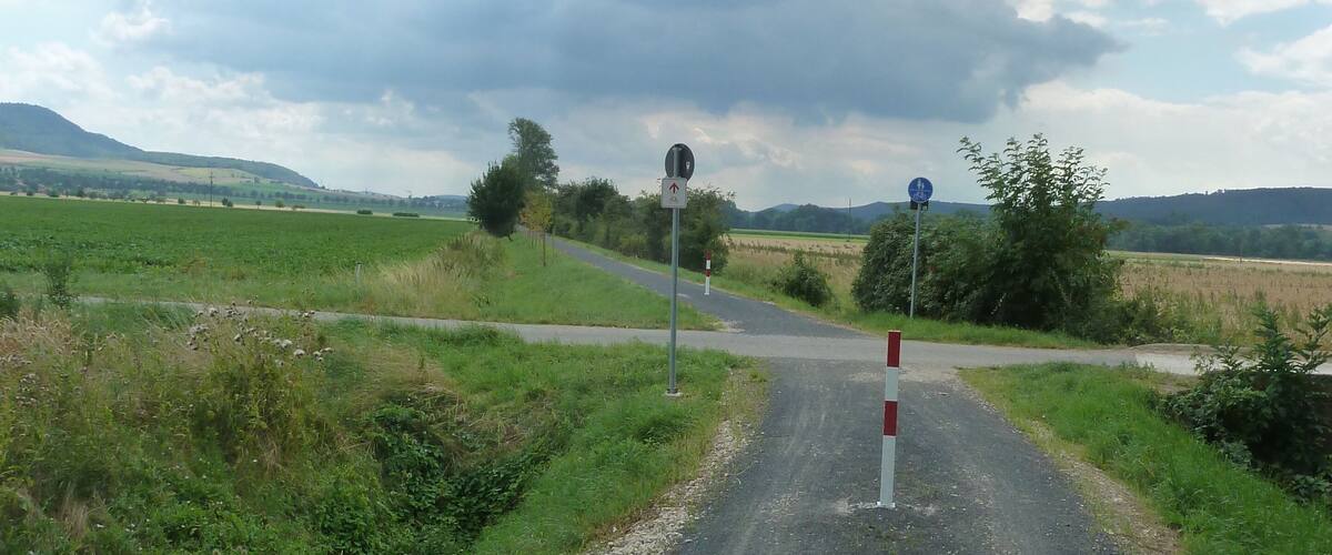 A rural road with a speed limit sign, a pedestrian crossing, and a blue circular sign.