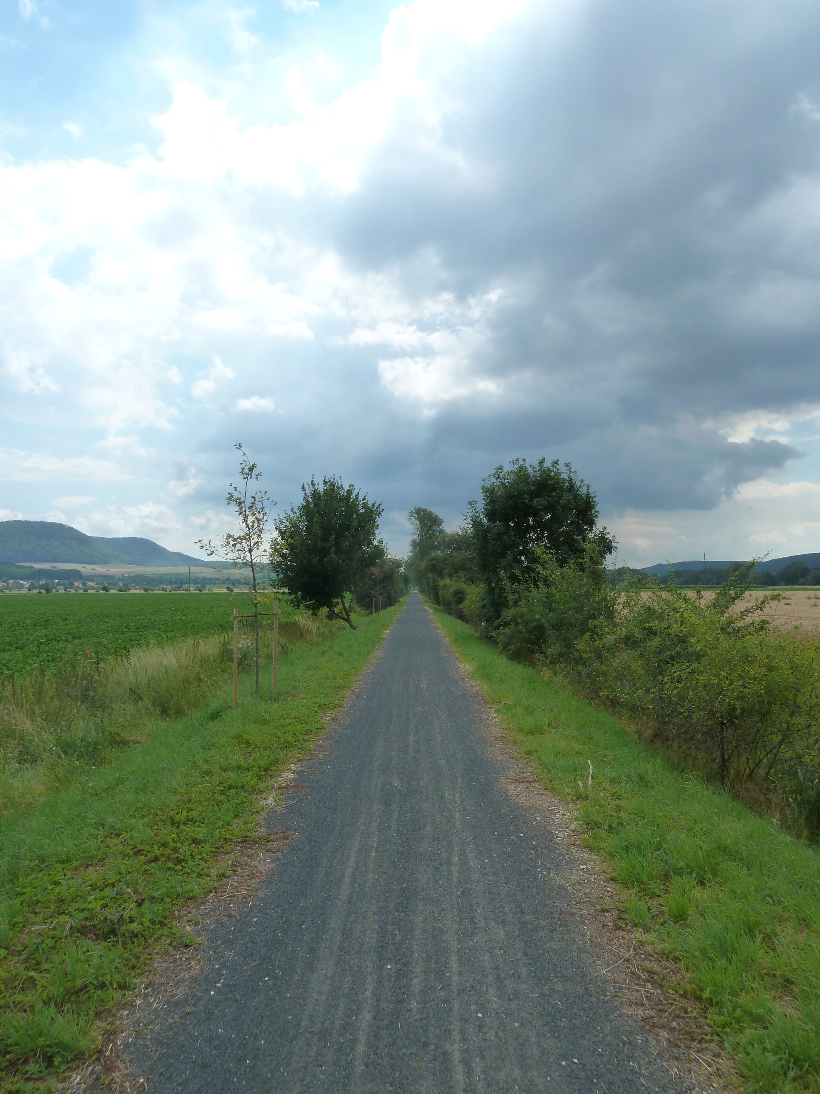 Leine-Radweg in Rheden