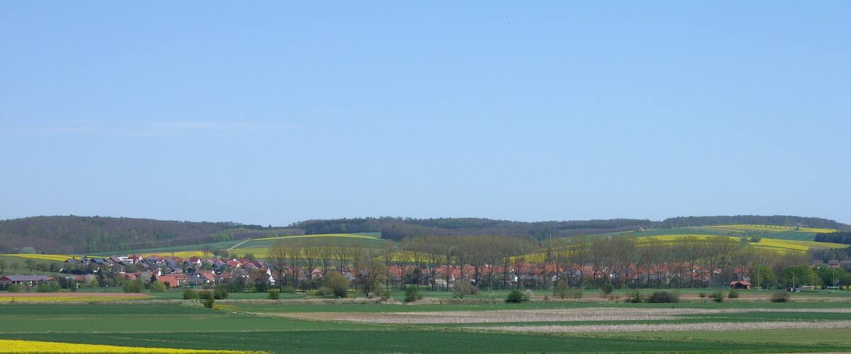 A rural landscape with fields, a village, and rolling hills.