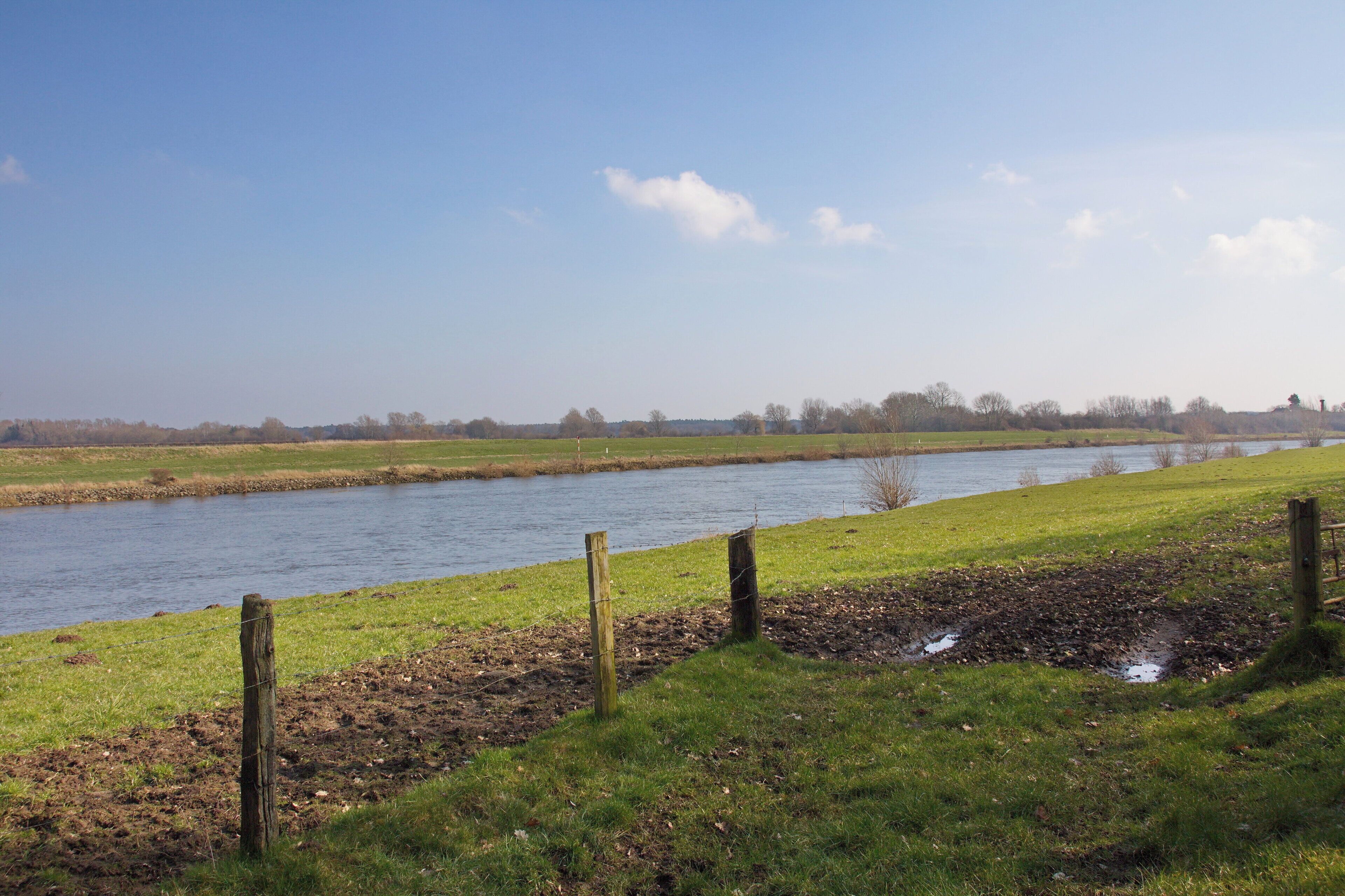 Weserfähre Schweringen-Gandesbergen (Schweringen), Niedersachsen, Deutschland.. Die Geschichte der letzten Gierseilfähre an der Mittelweser reicht bis in das 16. Jahrhundert.