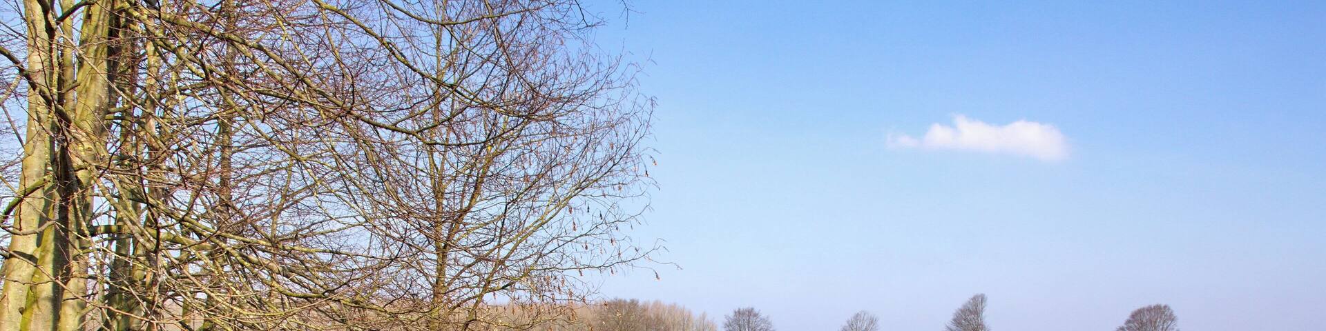 WeserfÀhre Schweringen-Gandesbergen (Schweringen), Niedersachsen, Deutschland.. Die Geschichte der letzten GierseilfÀhre an der Mittelweser reicht bis in das 16. Jahrhundert.