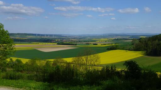 am Rennstieg zwischen Eberholzen und Westfeld