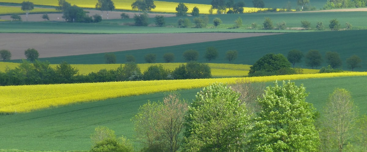 am Rennstieg zwischen Eberholzen und Westfeld