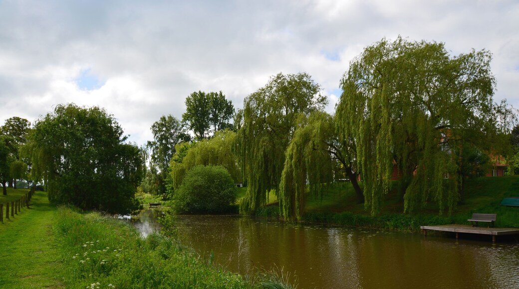 Eiter in Thedinghausen