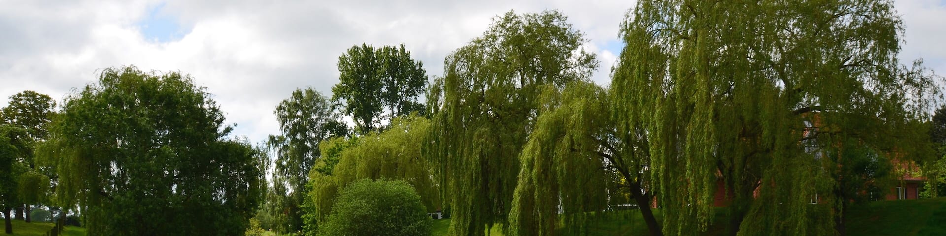 Eiter in Thedinghausen