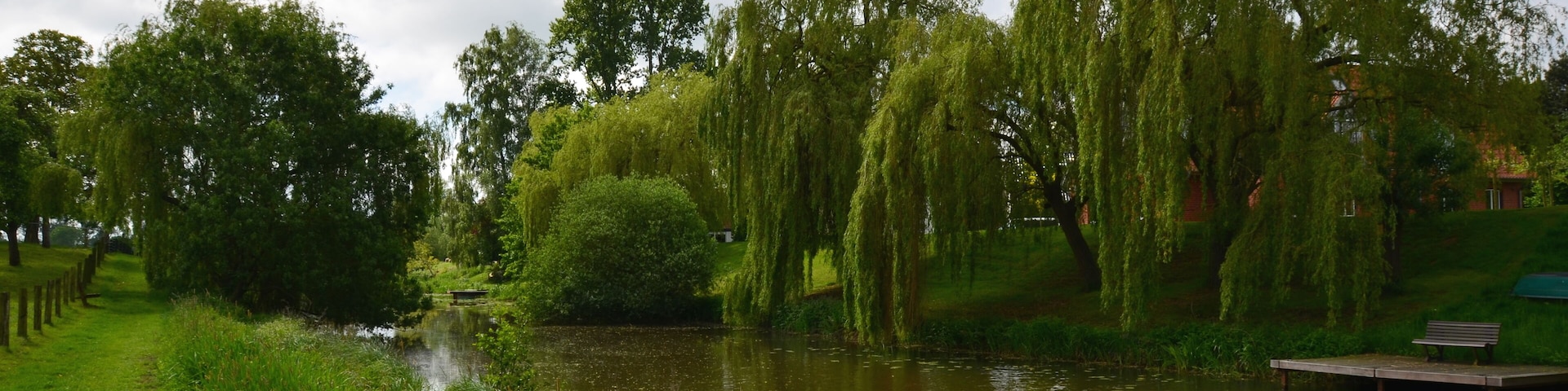 Eiter in Thedinghausen
