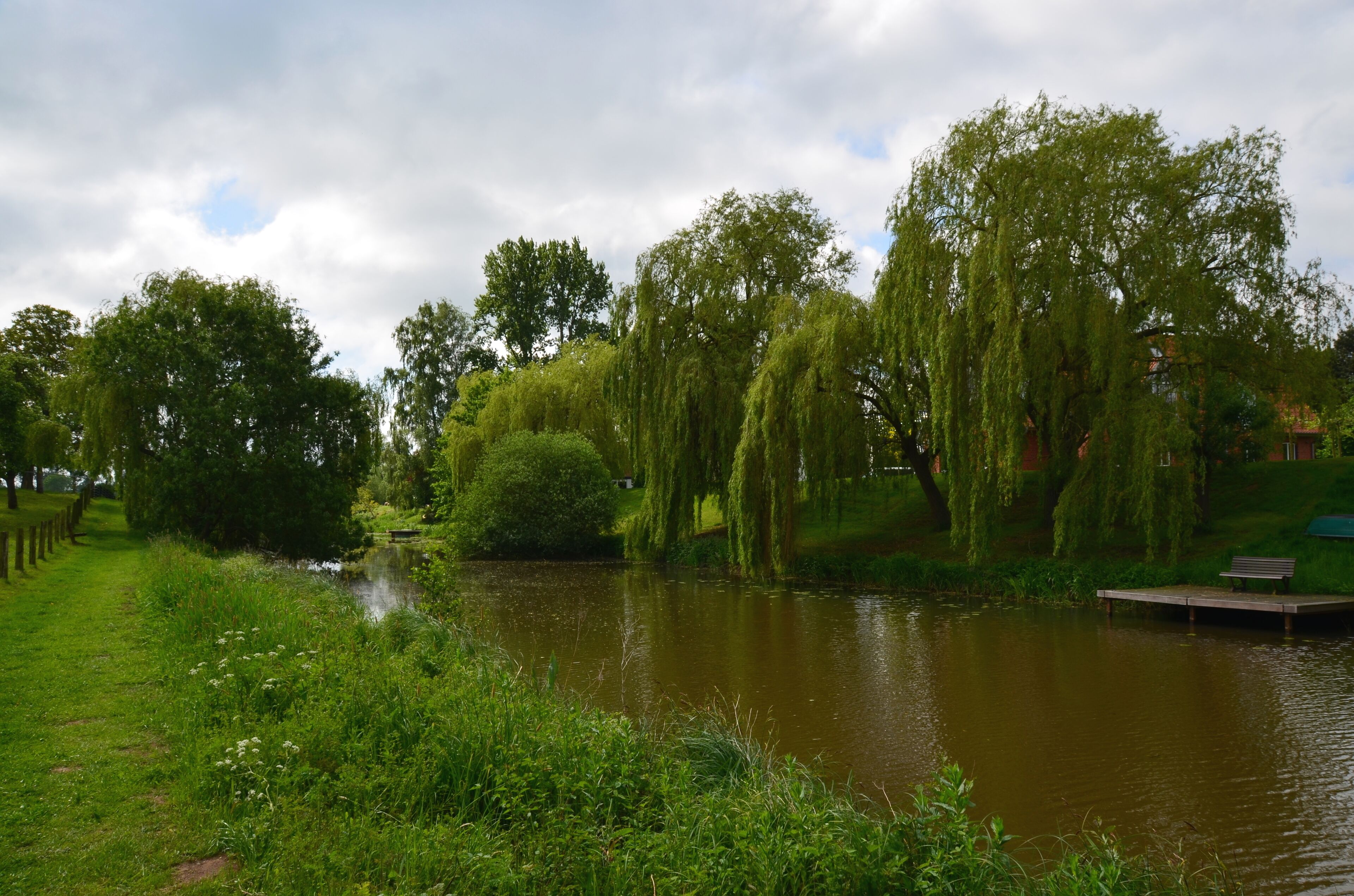 A calm river with willow trees and a wooden dock.