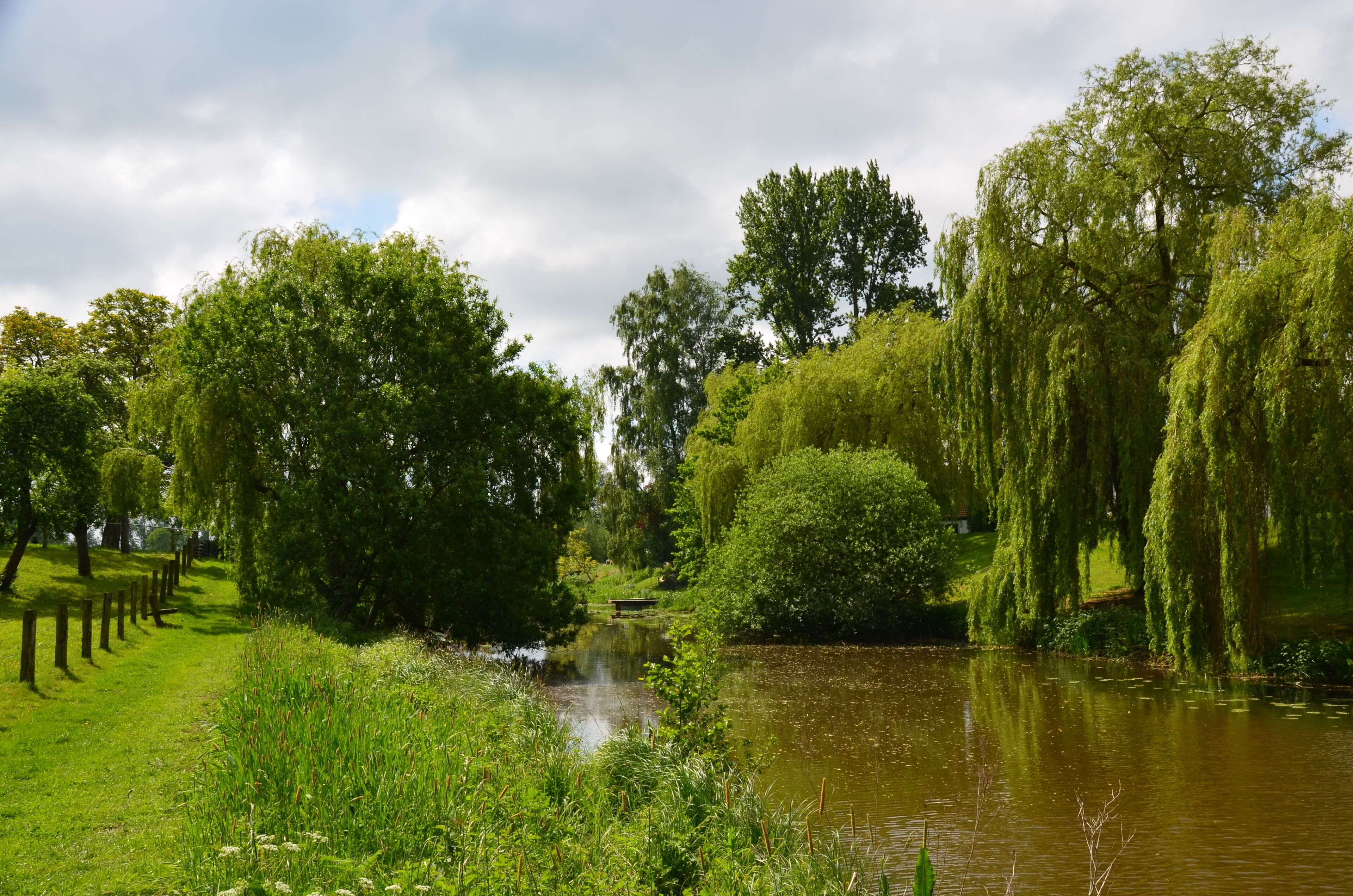 Eiter in Thedinghausen