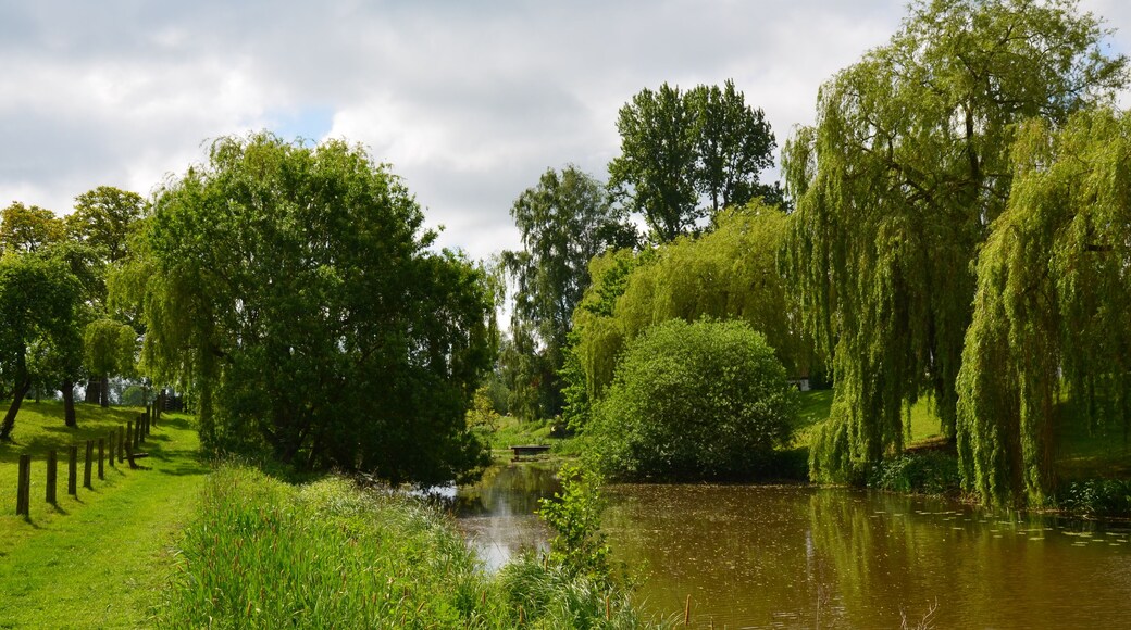 Eiter in Thedinghausen