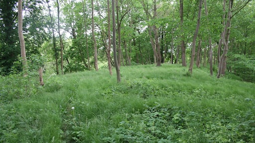 Ankershagen Burgplatz