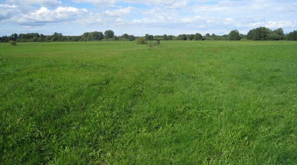 Weidelandschaft zwischen Sabow und Klein Siemz