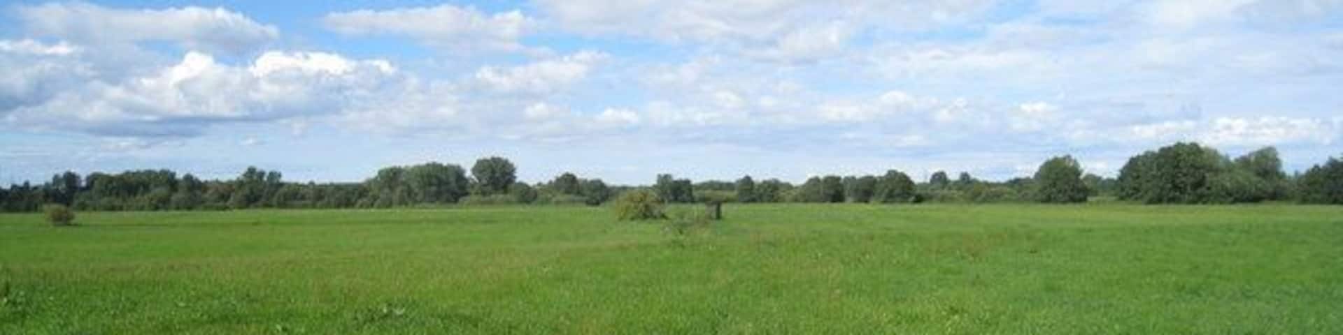 Weidelandschaft zwischen Sabow und Klein Siemz