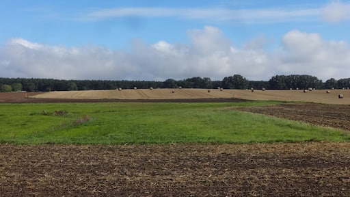 Blick von der Dorfstraße auf den Mühlberg, eine 24 Meter hohe Erhebung in Rubenow, Landkreis Vorpommern-Greifswald in Mecklenburg-Vorpommern.