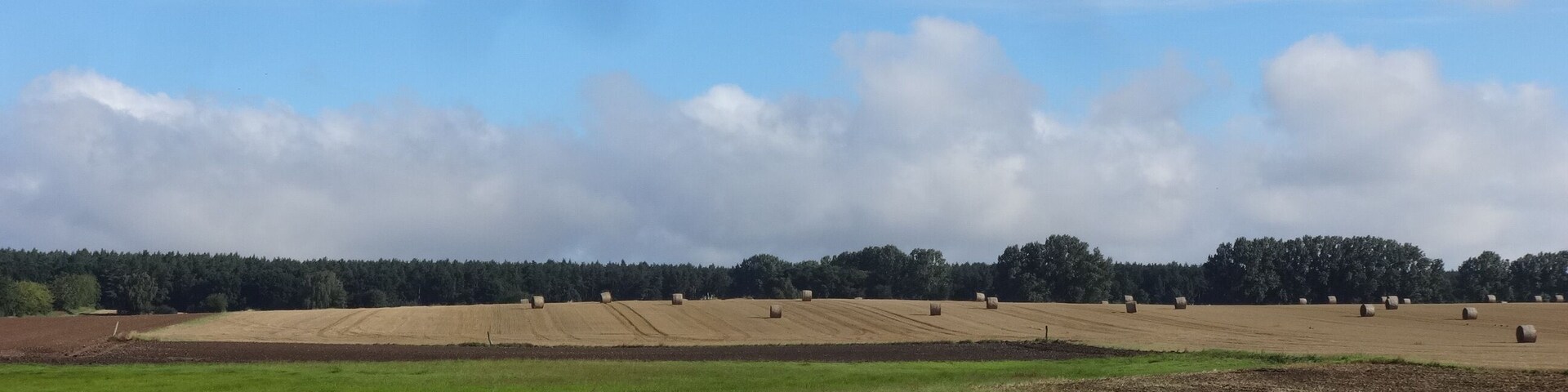 Blick von der Dorfstraße auf den Mühlberg, eine 24 Meter hohe Erhebung in Rubenow, Landkreis Vorpommern-Greifswald in Mecklenburg-Vorpommern.
