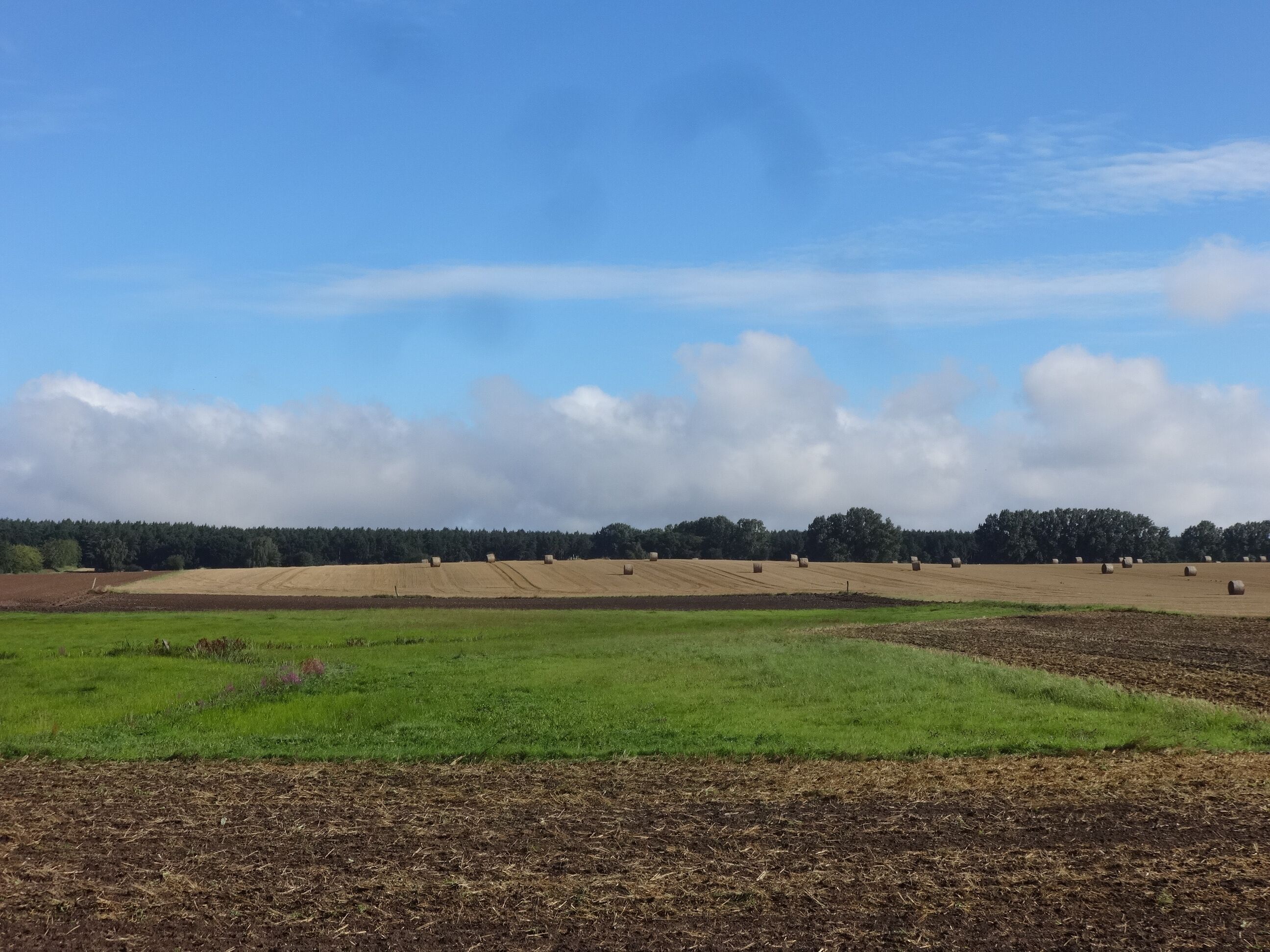 A rural landscape with fields, hay bales, and a forest in the background.