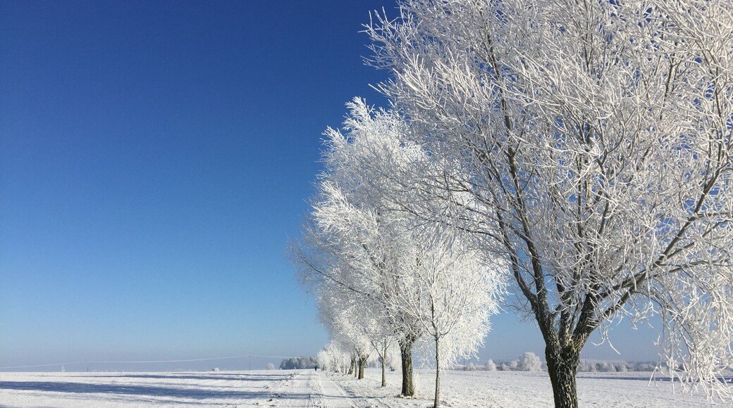 cold Winter in Mecklenburg