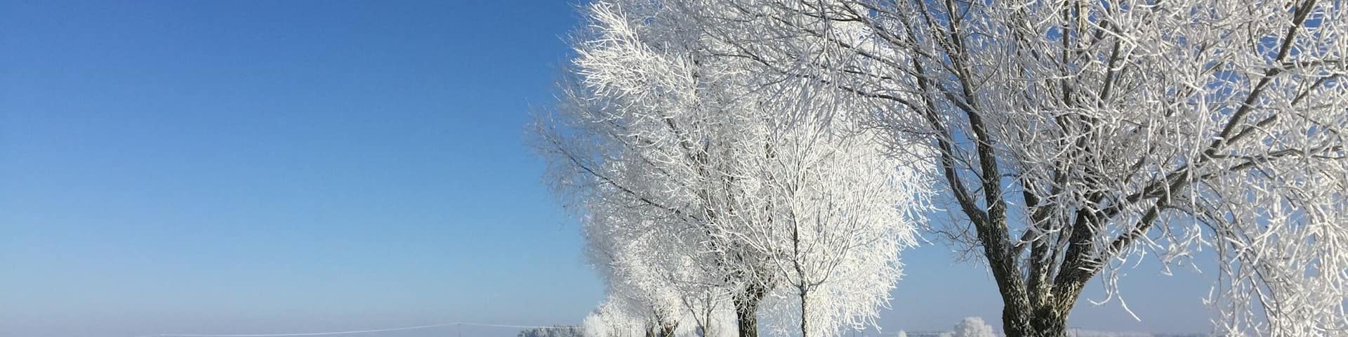 cold Winter in Mecklenburg