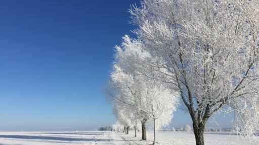 cold Winter in Mecklenburg