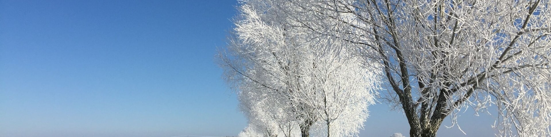 cold Winter in Mecklenburg