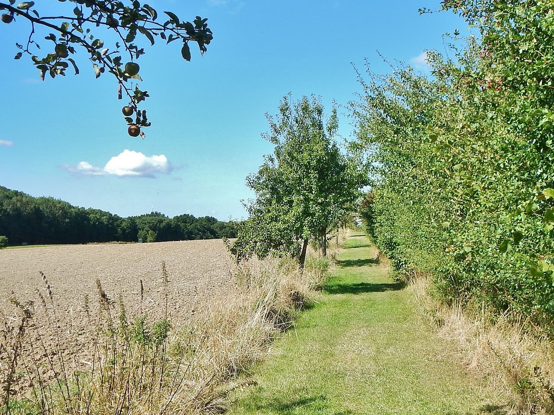 An der ehemaligen innerdeutschen Grenze in der Nähe vom Mechower Holz